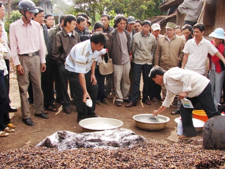 Nông dân huyện Cư M'gar đang được cán bộ khuyến nông hướng dẫn cách làm phân bón vi sinh.