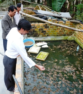 Anh Bùi Thanh Dương đang cho ếch ăn.