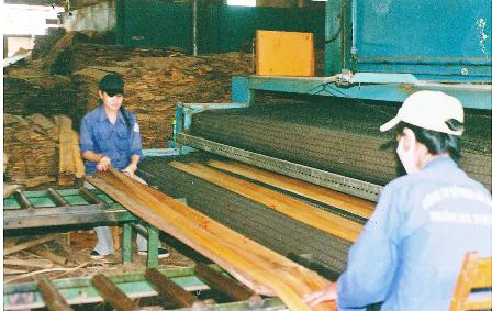 Phân xưởng bóc tách của Nhà máy Chế biến Gỗ Lạng xuất khẩu. (Ảnh: Nam Sơn)