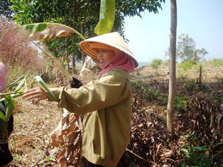 Mùa đót mỗi năm chỉ có 1 lần nên đã thu hút nhiều người dân trong buôn lên rừng hái đót.