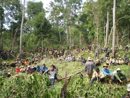 Nhiều người dân tràn vào phá rừng tại tiểu khu 340a