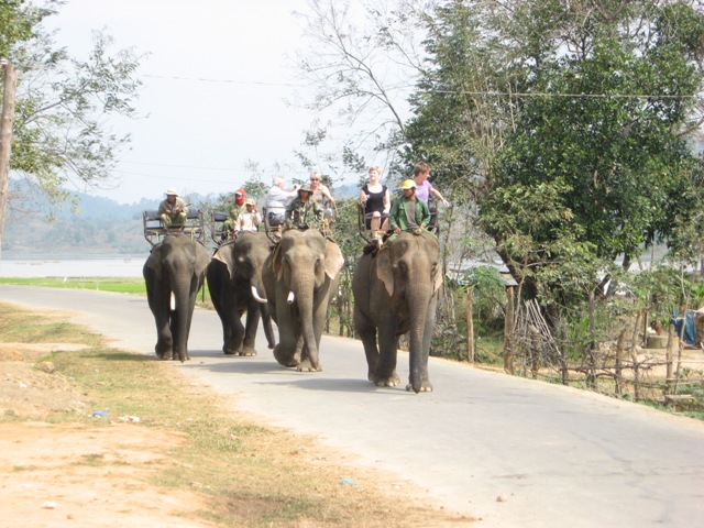 Cưỡi voi cũng là sản phẩm du lịch độc đáo và hấp dẫn nhất của Du lịch Dak Lak.