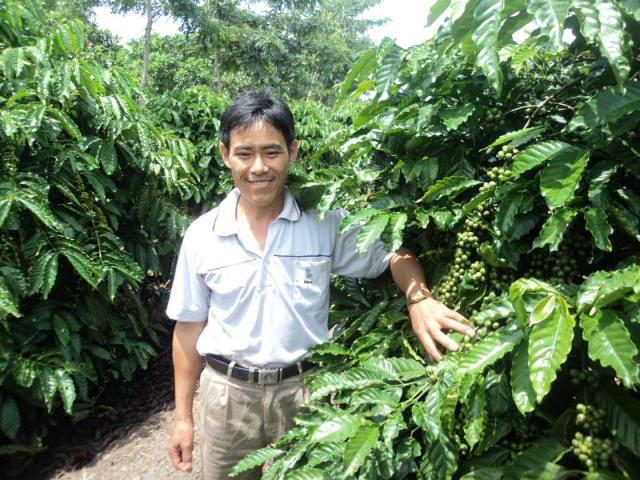 Anh Lê Đăng Chiền bên vườn cà phê của gia đình.