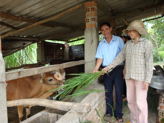 Người dân tham quan mô hình nuôi bò vỗ béo của gia đình chị Trần Thị Hà (thôn Chư Cúc, xã Ea K'mút, huyện Ea Kar).