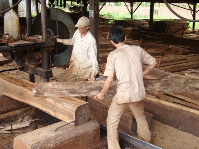 Hoạt động chế biến gỗ tại Công ty TNHH MTV Lâm nghiệp Ea Wy.