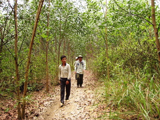 Công ty TNHH MTV Lâm nghiệp Krông Bông (huyện Krông Bông) liên kết trồng rừng với người dân xã Cư Pui.