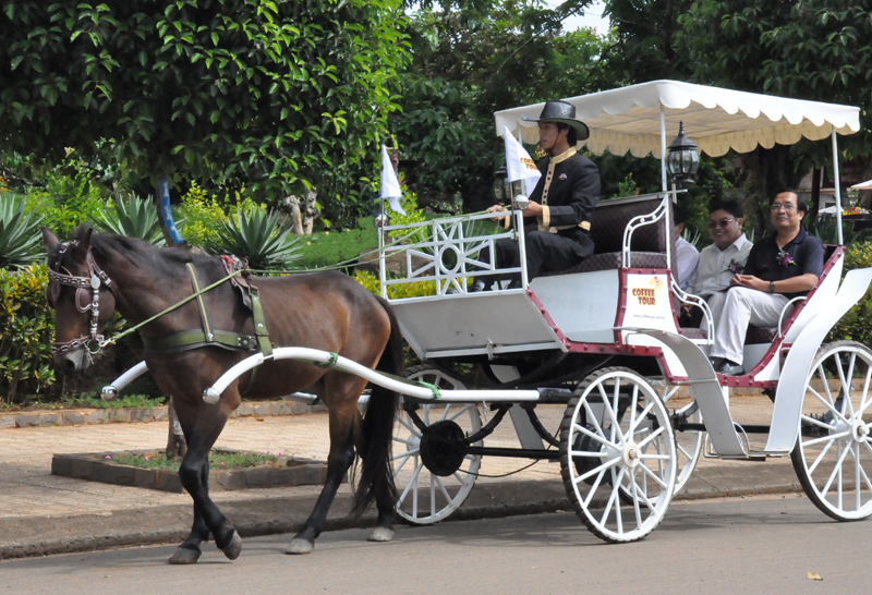 Những du khách đầu tiên 