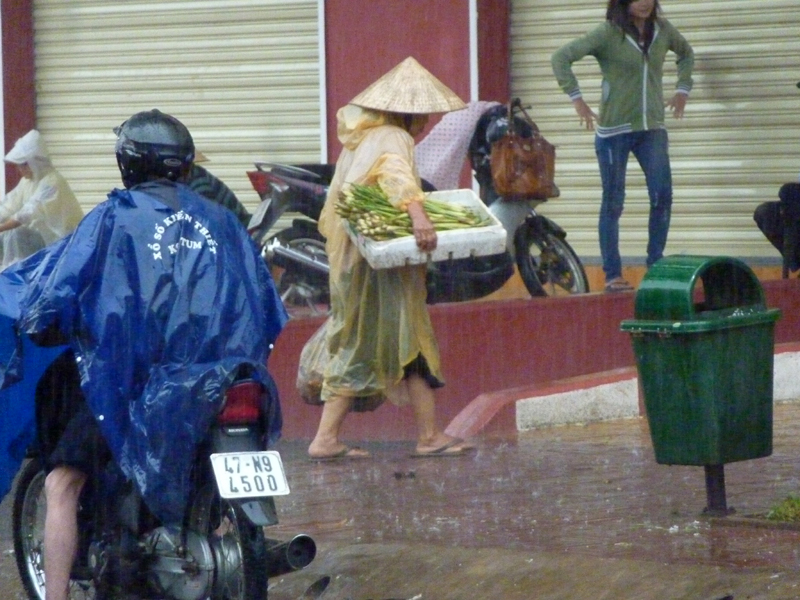 hay mang đến tận nơi