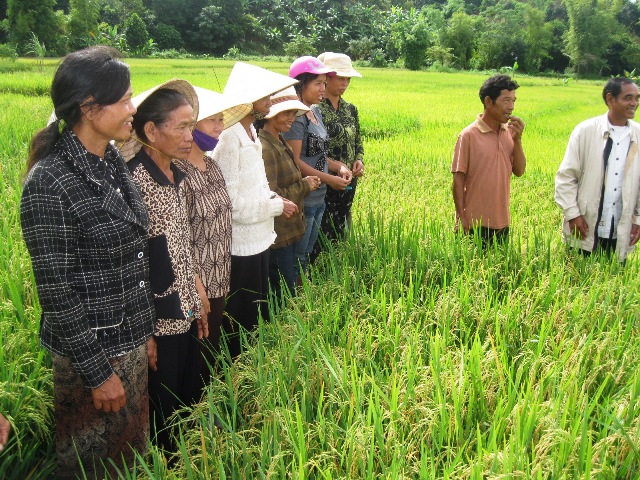 Chi tiết hơn 61 về mô hình icm hay nhất  Tin học Đông Hòa