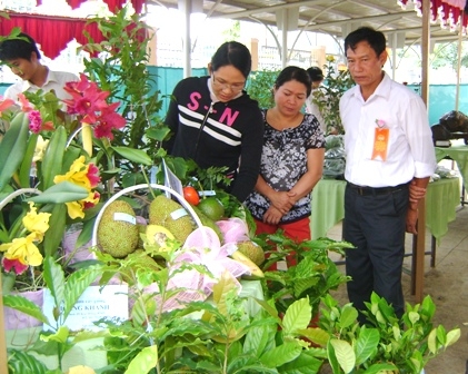 giới thiệu trái cây.JPG