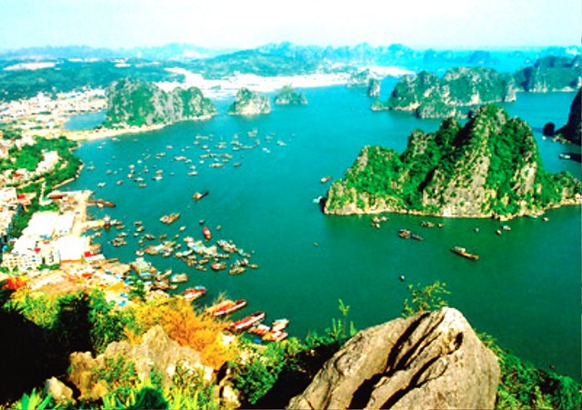 Khu bảo tồn Cát Bà (Hải Phòng) Ảnh: S.T