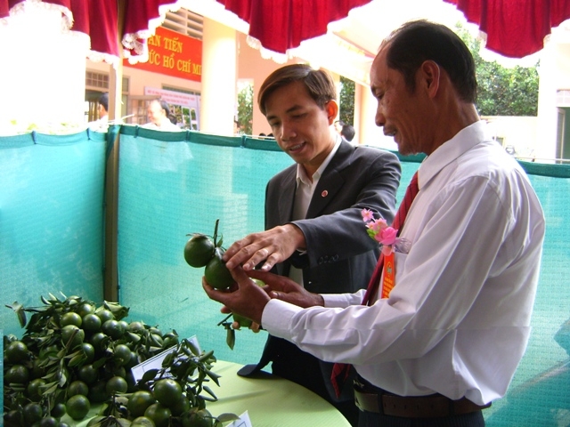 Ông Nguyễn Văn Đại giới thiệu sản phẩm quýt đường tại Hội nghị Nông dân sản xuất kinh doanh giỏi TP. Buôn Ma Thuôt.