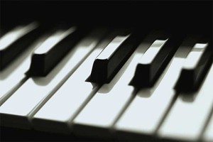 Bên cạnh các tiết mục biểu diễn piano đặc sắc, Festival cũng bao gồm các hoạt động bên lề như: hội thảo về Lịch sử đàn piano, giao lưu với một số nghệ sĩ tên tuổi cũng như giảng dậy một số kỹ năng về piano.