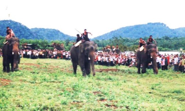         Hội đua voi tại khu du lịch sinh thái Buôn Đôn.                     Ảnh:T.S