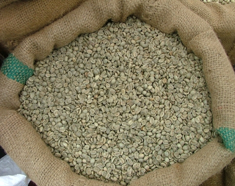 Giá cà phê arabica bật tăng mạnh tới gần 4% sau một loạt các tin tốt lành khiến cho đồng USD mất giá. Đóng cửa phiên, kỳ hạn tháng 3 có thêm 8,95 cent lên 246,5 cent/lb – cao nhất kể từ 18-11.