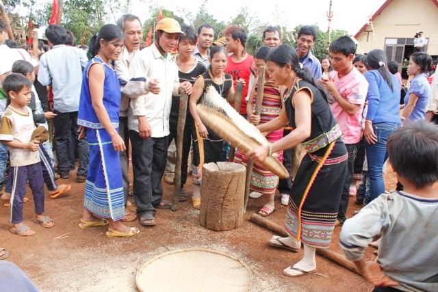 Gạo sau khi được giã thì đổ ra nia để sảy