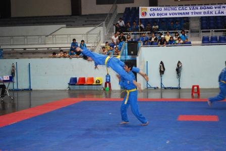 Vovinam đang được ngành TDTT chú trọng đầu tư, phát triển.