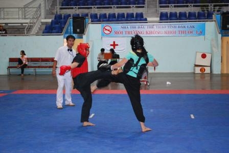 Võ thuật cổ truyền lần đầu tiên có nhiều đóng góp cho thể thao tỉnh nhà