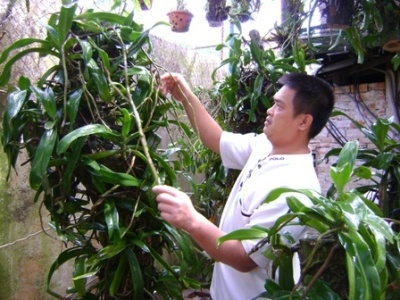 Anh Nguyễn Văn Sơn bên những cội lan rừng (Ảnh: Nguyễn Xuân)