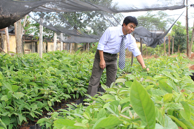 Dịch vụ cung ứng giống cây trồng đang phát triển mạnh ở các vùng nông thôn