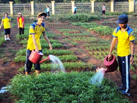 Học sinh Trường THPT Dân tộc nội trú N’Trang Lơng trồng rau, góp phần cải thiện bữa ăn.