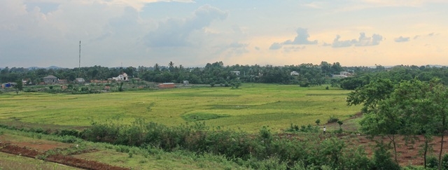 Xung quanh hồ là những cánh đồng lúa