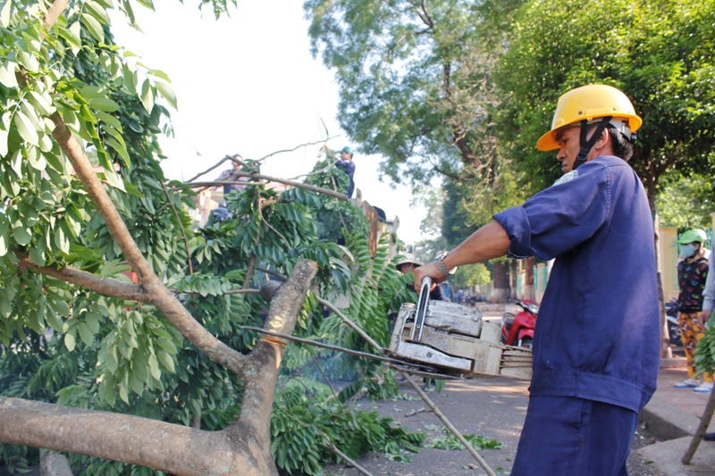 Công nhân của Công ty môi trường tiến hành cắt dọn, giải tỏa giảo thông