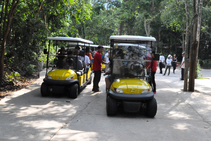 Từ nơi tiếp đón, du khách có thể di chuyển bằng xe golf hoặc đi bộ thêm 1,6 km đường bề mặt bê tông dưới tán rừng thì đến chân đồi 