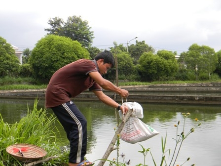 Dịch bệnh luôn là nỗi lo đối với các hộ nuôi cá ở Ea Kao-Buôn Ma Thuột. Họ rất cần sự hướng dẫn, giúp đỡ của cơ quan chức năng để thành lập HTX nhằm khắc phục mối lo này