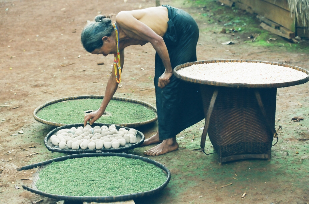 Bà lão M’nông đang  phơi men làm rượu cần  và  thuốc lá. 