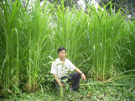 Từ mô hình cải tạo vườn tạp của người M’nông sang trồng cỏ nuôi bò, anh Vũ đã giúp nhiều hộ dân phát triển kinh tế.