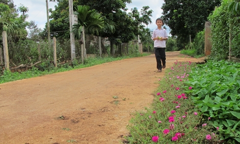Những con đường “mưa lầy nắng bụi” đã được bê tông hóa hoàn toàn tại các thôn, 3,6 và 7,  xã Ea Tiêu (Cư Kuin). 