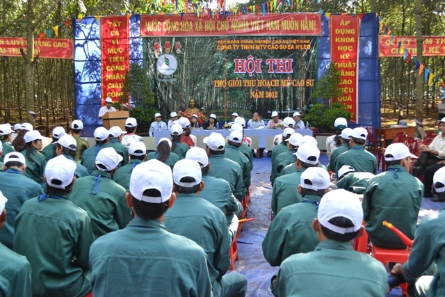 Khai mạc Hội thi