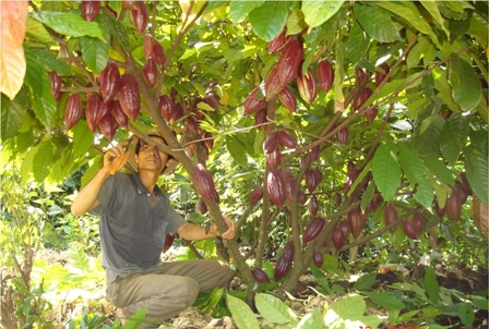 Nhau cầu phát triển...