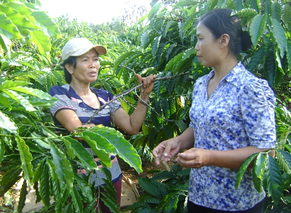 Chủ tịch Hội Phụ nữ xã Ea Kao (TP. Buôn Ma Thuột) Trịnh Thị Tuyết (bên phải) luôn gần gũi, chia sẻ khó khăn với hội viên