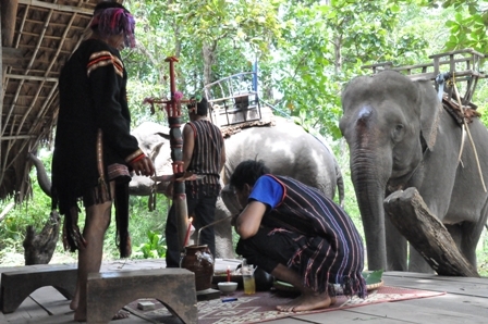 Nghi lễ kết thúc, mọi người trong buôn làng quây quần bên ché rượu cần để cầu chúc sức khỏe cho voi