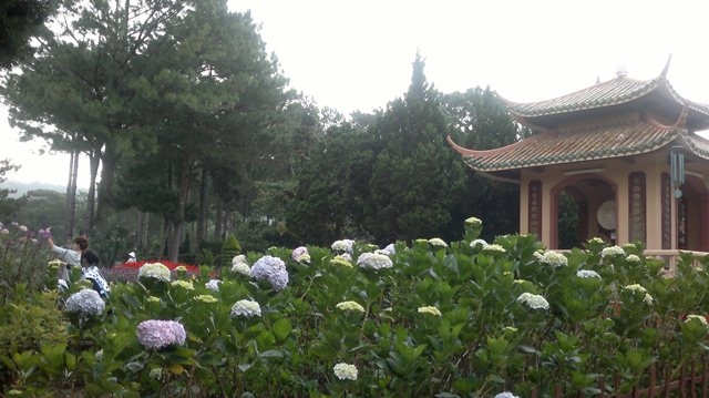 Vườn hoa trong khuôn viên Thiền Viện