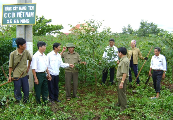 Cán bộ Hội CCB các cấp tìm hiểu cách thức xây dựng “Hàng cây mang tên CCB xã Ea Ning”. 