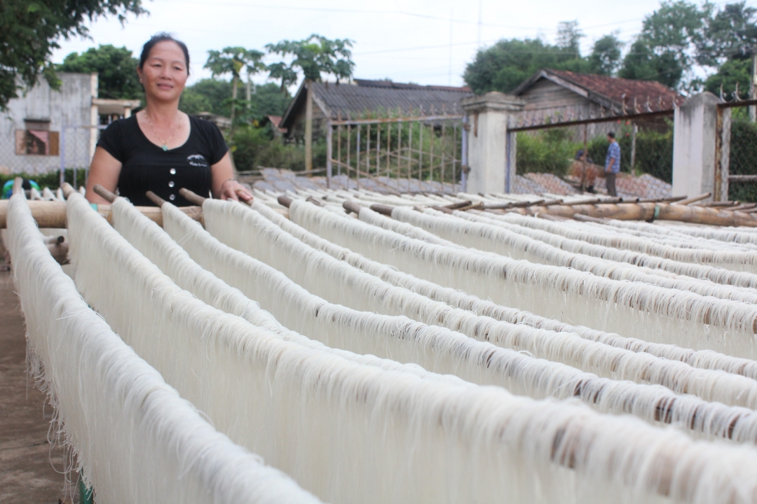 Gia đình chị Nguyễn Thị Tâm, tổ dân phố 1, P. Khánh Xuân phát triển kinh tế  nhờ nghề làm miến. 
