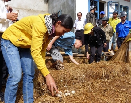 Một buổi phổ biến kiến thức trồng nấm rơm cho thanh niên nghèo ở xã Ea Bông (Krông Ana)