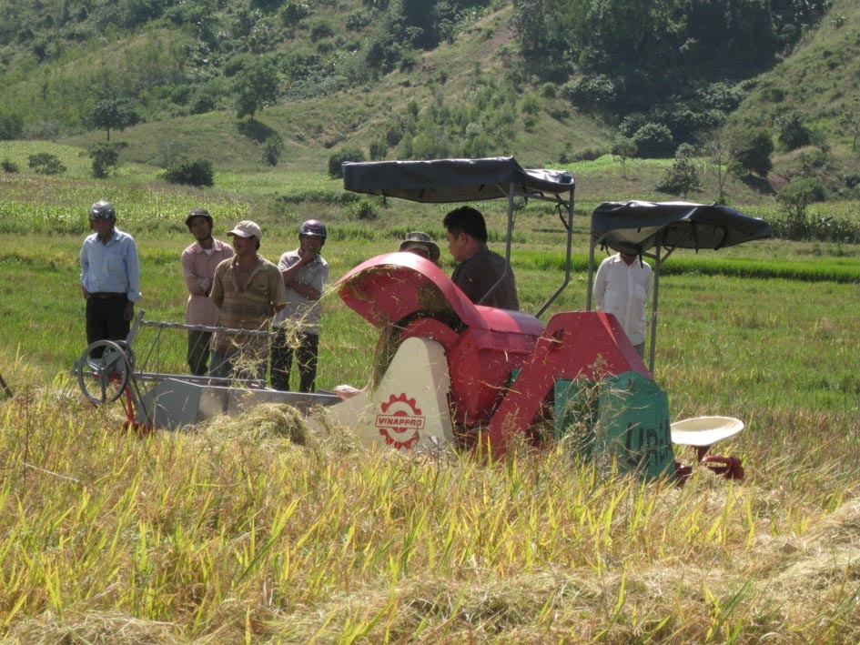 Trình diễn nghiệm thu mô hình máy gặt đập liên hợp tại huyện Krông Bông.