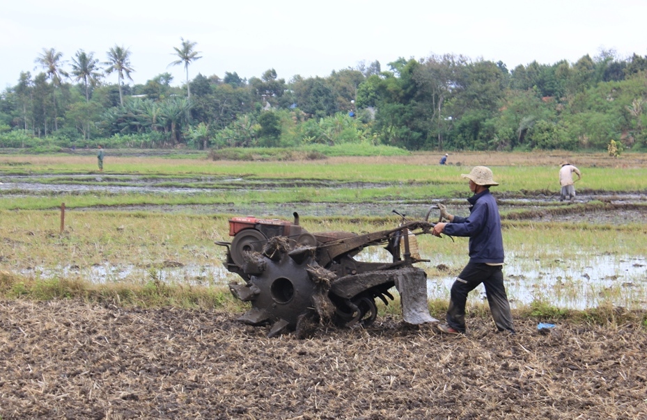 Nông dân xã Hòa An, huyện Krông Pak làm đất  cho gieo trồng vụ mới. 