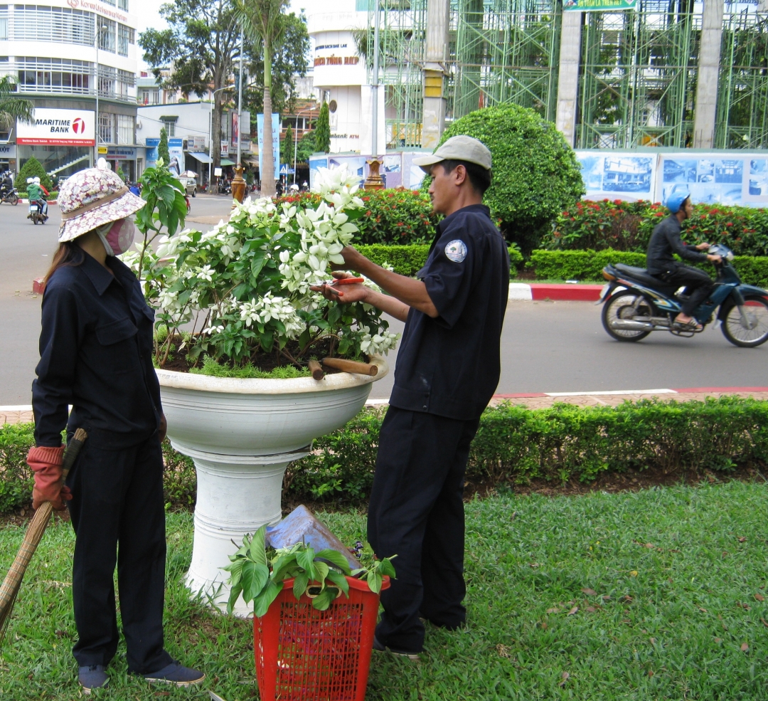 Công nhân Công ty TNHH MTV đô thị và môi trường Dak Lak chăm sóc cây cảnh