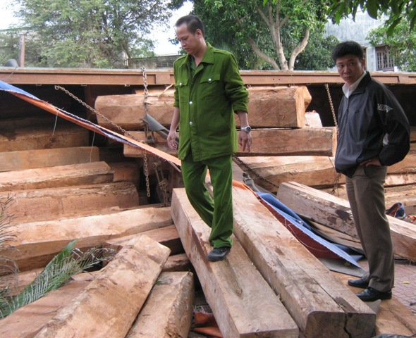 Cơ quan chức năng đo đếm xác minh nguồn gốc gỗ và nguyên nhân tai nạn