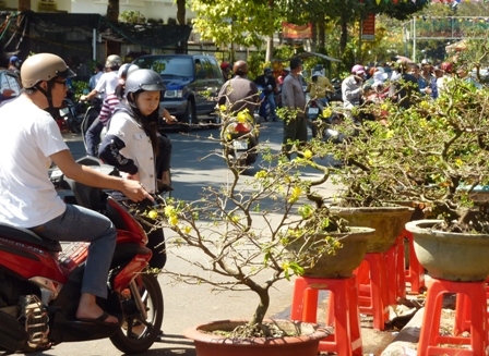 Trong cái nắng chói chang, vẫn đông người đến với Chợ hoa Xuân