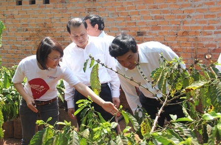 Phó Thủ tướng Vũ Văn Ninh thăm mô hình phát triển cà phê bền vững của hộ dân xã Ea Tul