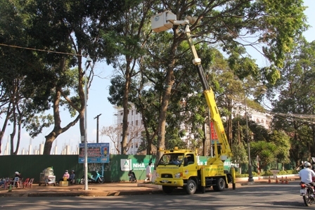 Ảnh kèm bài Môi trường trong lành (1).JPG