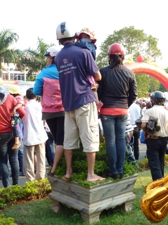 Đứng trên chậu cây cảnh đặt dọc đường Nguyễn Tất Thành