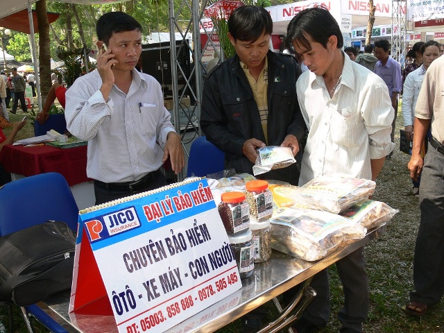Thuốc Ama Koong cũng góp phần náo nhiệt