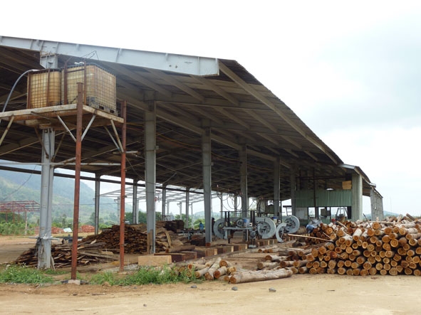Một góc xưởng chế biến gỗ của Công ty Cổ phần Chế biến gỗ Trường Thành MDrak.